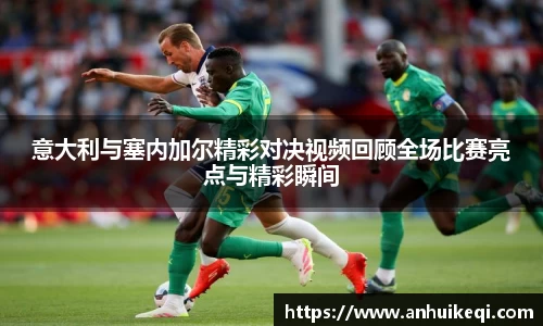 熊猫体育官网